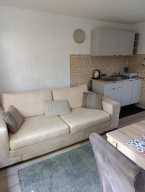 JASMINA apartment with free parking